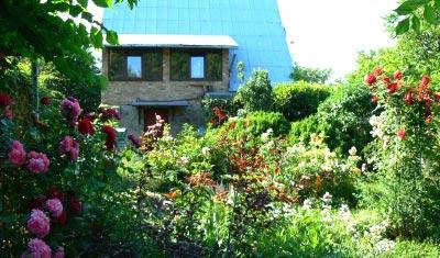 Зеленая изгородь на садовом участке Зеленая изгородь на садовом участке