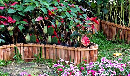 Пластиковые ограждения для грядок Пластиковые ограждения для грядок