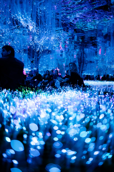 «путь к мечте»: в москве покажут первоев россии фиджитал-шоу «путь к мечте»: в москве покажут первоев россии фиджитал-шоу