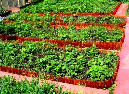 Пластиковые ограждения для грядок Пластиковые ограждения для грядок