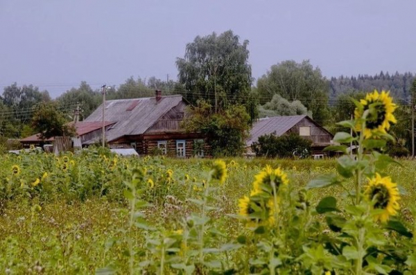 Россиянам хотят выдавать участки после 10 лет брака 1