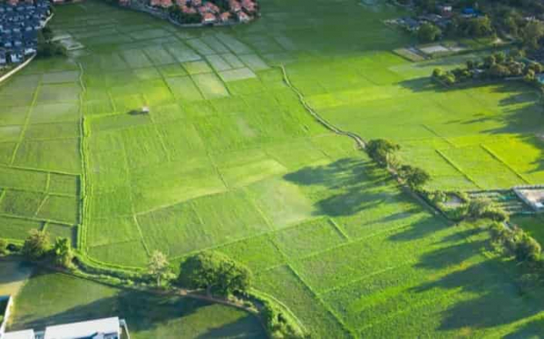 Как выбрать идеальный участок для строительства дома Как выбрать идеальный участок для строительства дома