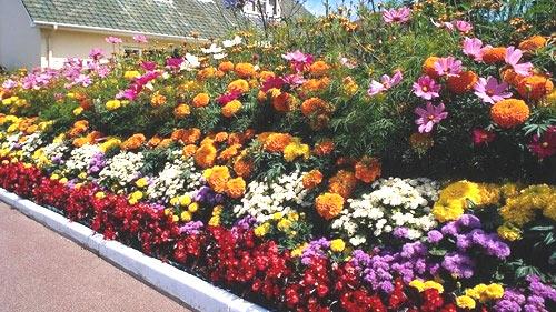 Виды заборов для палисадника Виды заборов для палисадника