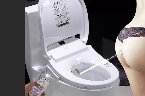 Крышка биде для унитаза: виды, описание принципа работы и советы по выбору