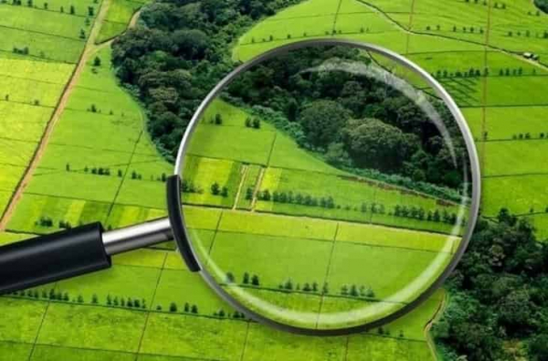 Как выбрать идеальный участок для строительства дома Как выбрать идеальный участок для строительства дома