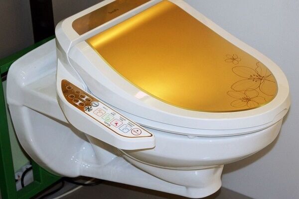 Крышка биде для унитаза: виды, описание принципа работы и советы по выбору