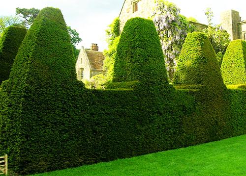 Из чего лучше сделать забор Из чего лучше сделать забор