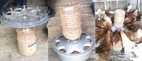 Курятник внутри: что необходимо и как сделать Курятник внутри: что необходимо и как сделать