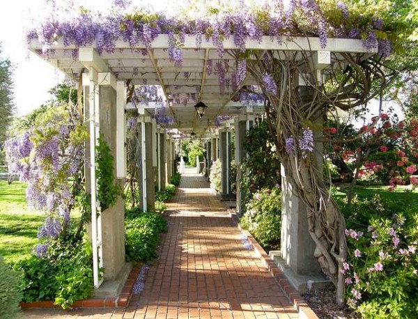 Как сделать перголу своими руками Как сделать перголу своими руками