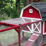 Как построить курятник на лето с выгулом Как построить курятник на лето с выгулом