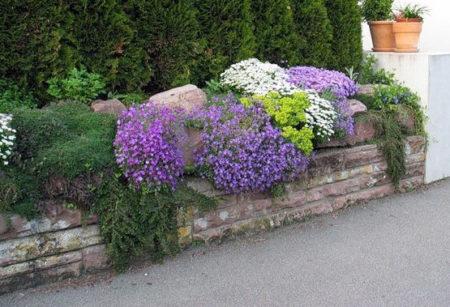 Установка маленького забора на участке Установка маленького забора на участке