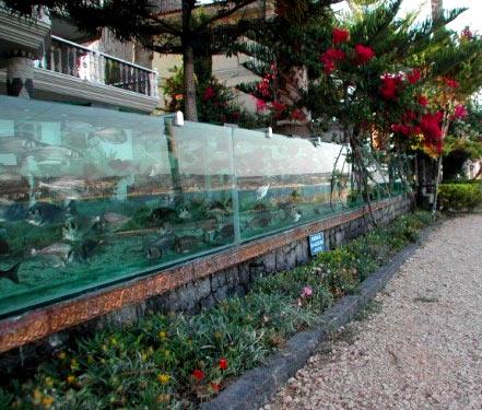 Необычные заборы Необычные заборы