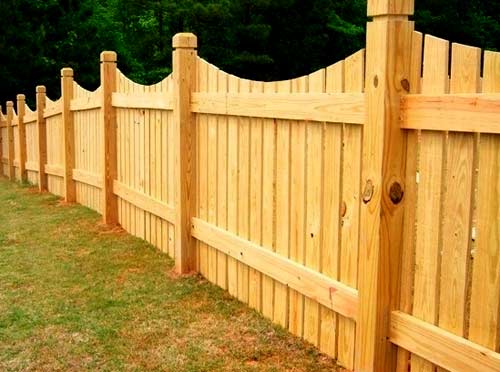 Садовые заборы и изгороди Садовые заборы и изгороди