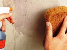 Краски на водной основе: виды, характеристики, различия Краски на водной основе: виды, характеристики, различия