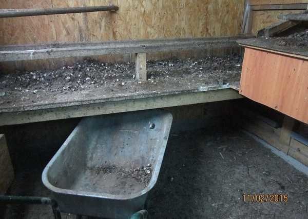 Курятник внутри: что необходимо и как сделать Курятник внутри: что необходимо и как сделать