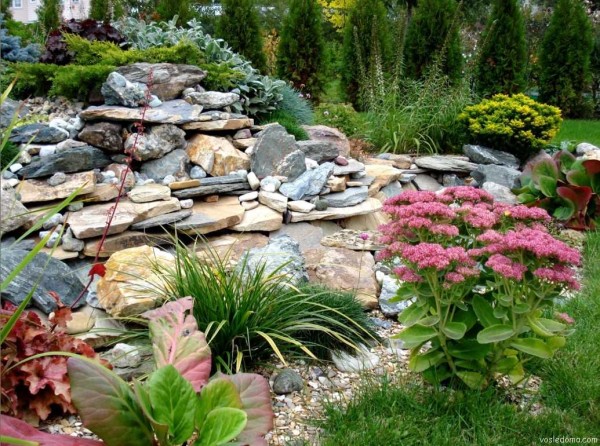 Альпинарий: виды, устройство, растения