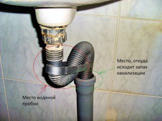 Что делать, если появился неприятный запах из труб(канализации) в ванной? Что делать, если появился неприятный запах из труб(канализации) в ванной?