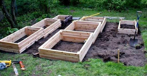 Высокие грядки из досок