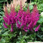 Как сделать пруд на даче, в саду, возле дома