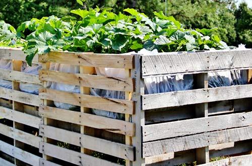 Возведение забора из паллет Возведение забора из паллет