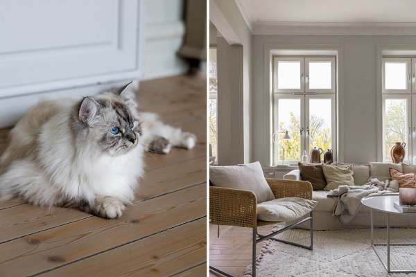 Эта квартира в мальмё показывает, почему мы все любим скандинавский уют в стиле хюгге