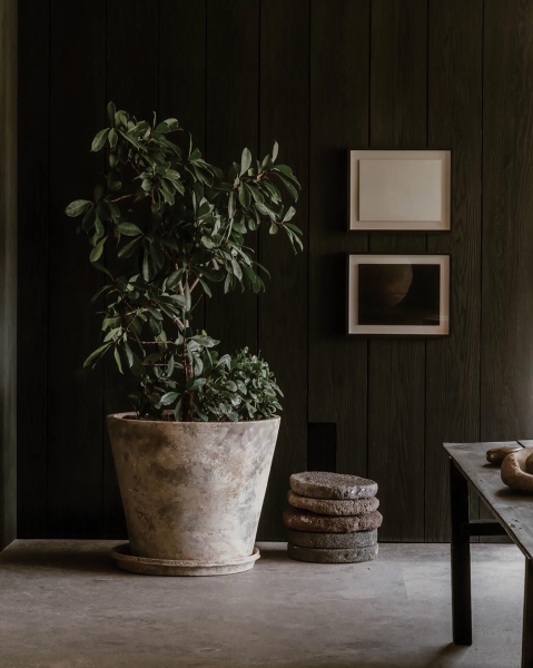 Стеклянные стены и стильный дизайн: современный дом в мексике