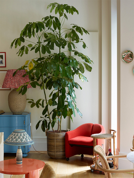 Жизнерадостный интерьер в лондоне, вдохновлённый летним отдыхом