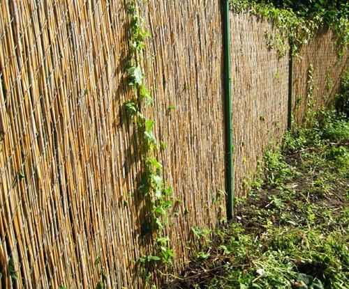 Как сделать забор из камыша Как сделать забор из камыша