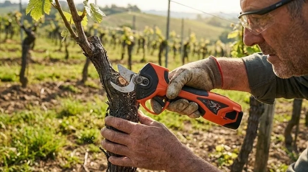 Рейтинг лучших аккумуляторных садовых ножниц на 2025 год Рейтинг лучших аккумуляторных садовых ножниц на 2025 год