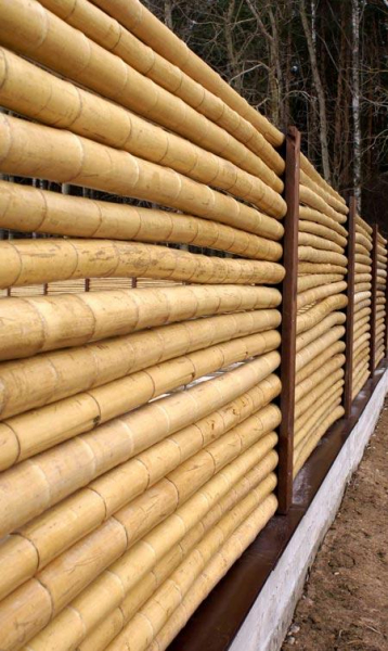 Заборы из бамбука и тростника Заборы из бамбука и тростника