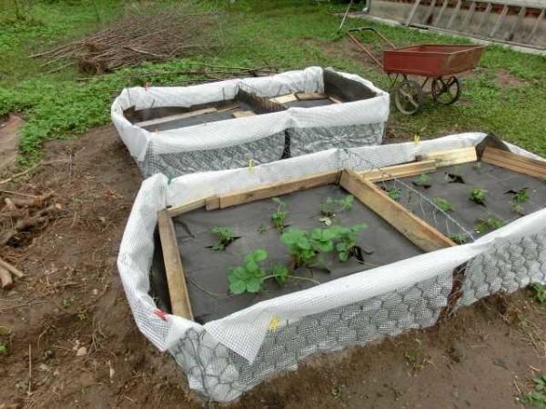 Высокие грядки: как и из чего сделать Высокие грядки: как и из чего сделать