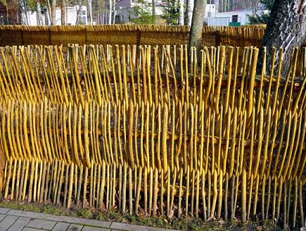 Заборы из лозы Заборы из лозы
