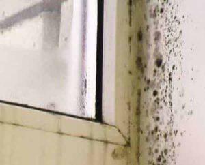 Как избавиться от конденсата Как избавиться от конденсата