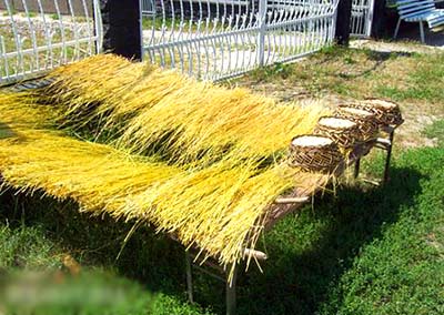 Как сделать плетень на даче Как сделать плетень на даче