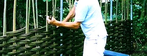 Заборы из лозы Заборы из лозы