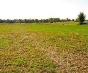 Как выбрать земельный участок Как выбрать земельный участок