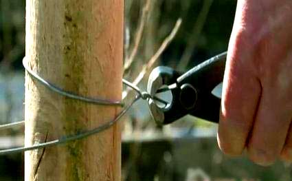 Как сделать плетень на даче Как сделать плетень на даче