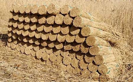 Как сделать забор из камыша Как сделать забор из камыша