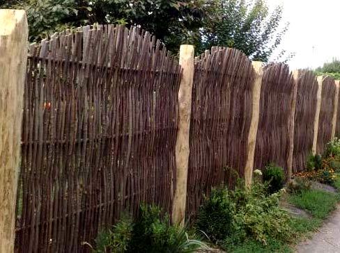 Заборы из лозы Заборы из лозы