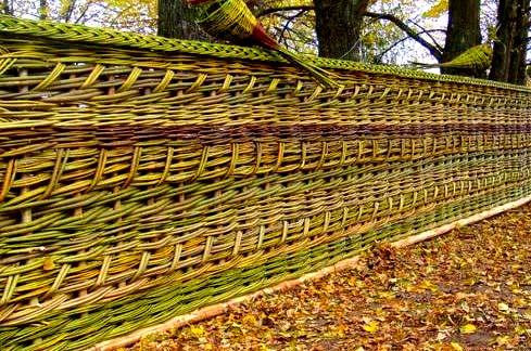 Как сделать плетень на даче Как сделать плетень на даче