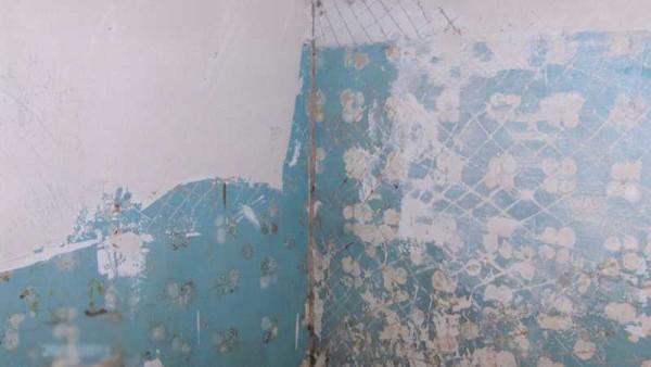 Укладка плитки на стену: в ванной, на кухне (фото, видео) Укладка плитки на стену: в ванной, на кухне (фото, видео)