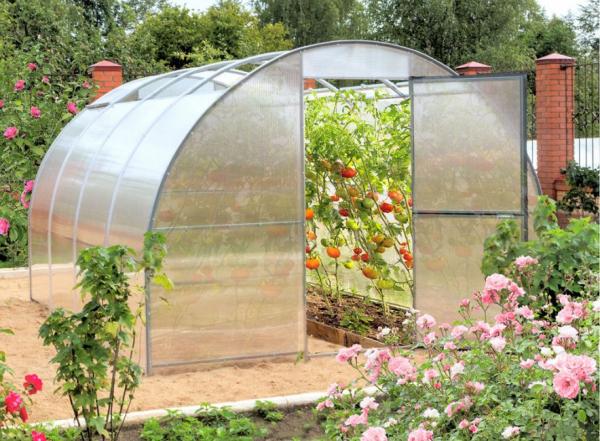 Как выбрать теплицу для дачи: особенности выбора, советы,фото Как выбрать теплицу для дачи: особенности выбора, советы,фото