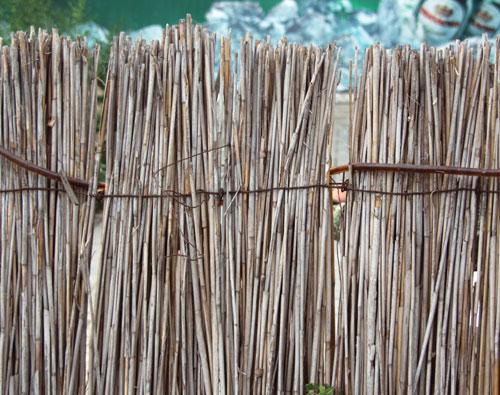 Заборы из бамбука и тростника Заборы из бамбука и тростника