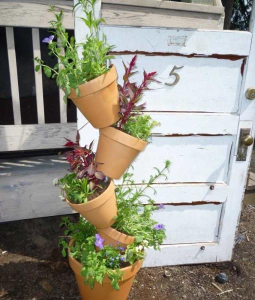 Обустройство сада: дизайн участка самостоятельно (60 фото) Обустройство сада: дизайн участка самостоятельно (60 фото)