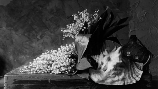 Выставка черно-белой фотографии алексея соболева Выставка черно-белой фотографии алексея соболева