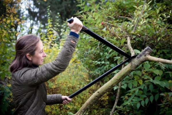 Лучшие сучкорезы, топ-25 рейтинг хороших сучкорезов Лучшие сучкорезы, топ-25 рейтинг хороших сучкорезов