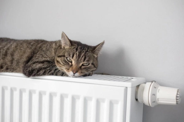 200 дней холодов: почему современные дома греют лучше, чем раньше 200 дней холодов: почему современные дома греют лучше, чем раньше