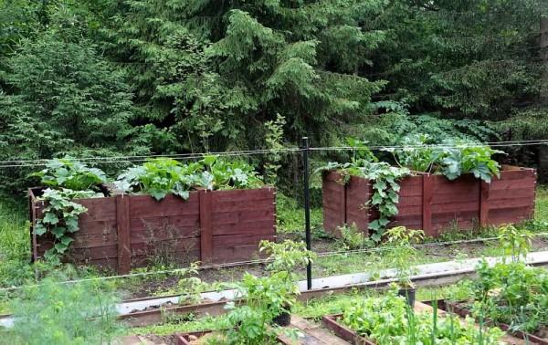 Высокие грядки: как и из чего сделать Высокие грядки: как и из чего сделать