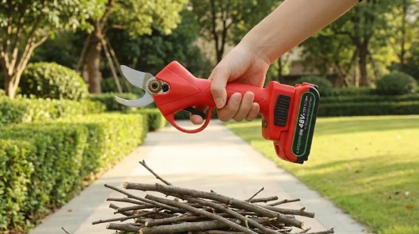 Рейтинг лучших аккумуляторных садовых ножниц на 2025 год Рейтинг лучших аккумуляторных садовых ножниц на 2025 год