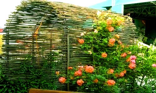 Как сделать плетень на даче Как сделать плетень на даче